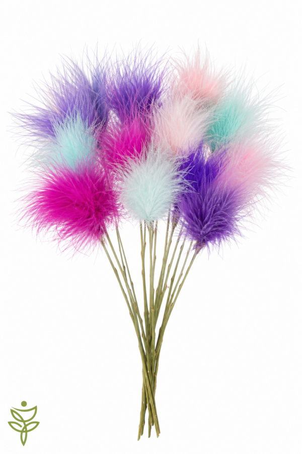 Ковыль (Feather grass) Голл